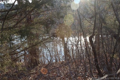 Gemini said PRISTINE LAKEFRONT LOT ON PRIVATE POCAHONTAS LAKE! - photo 6