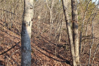 Gemini said PRISTINE LAKEFRONT LOT ON PRIVATE POCAHONTAS LAKE! - photo 10