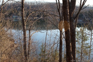 PRISTINE LAKEFRONT LOT ON PRIVATE POCAHONTAS LAKE! Lot 46 offers - photo 4