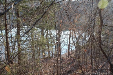 PRISTINE LAKEFRONT LOT ON PRIVATE POCAHONTAS LAKE! Lot 46 offers - photo 6