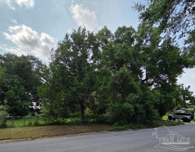 Build Your Dream Home in the Heart of Pensacola! This CLEARED 0 - photo 1
