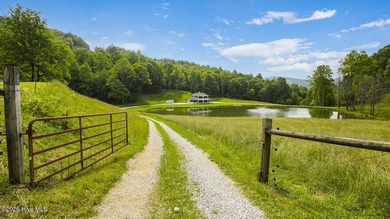 Discover an extraordinary 76 acre unrestricted mountain estate - photo 3