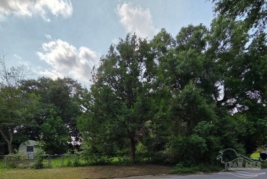 Build Your Dream Home in the Heart of Pensacola! This CLEARED 0 - photo 3