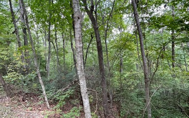 Lake Chatuge Acreage For Sale in Hayesville North Carolina