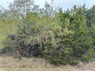 Lake Whitney Lot For Sale in Whitney Texas