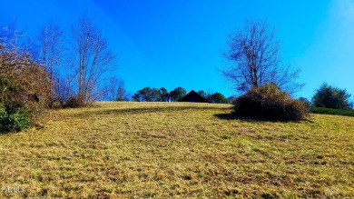 Lake Lot For Sale in Butler, Tennessee