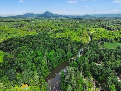 Own a staggering 800-plus feet of direct Chattahoochee River - photo 2