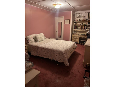 This charming brick detached ranch in Jamaica, Queens offers - photo 22