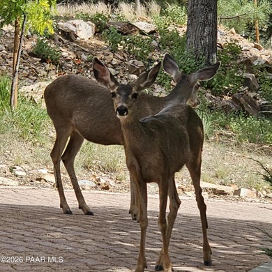Our model home, located in the unique and gated neighborhood of