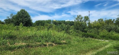 85 Maggie Lane is in Makanda Township in the Magnuson - photo 11