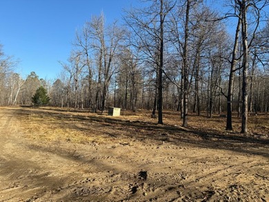 Here's 10 acres in the heart of lakes country. This property is - photo 1