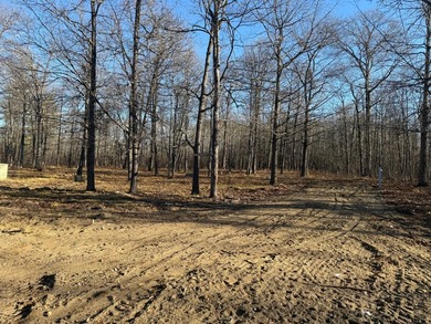 Here's 10 acres in the heart of lakes country. This property is - photo 3