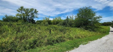 85 Maggie Lane is in Makanda Township in the Magnuson - photo 15