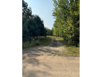 Here's 10 acres in the heart of lakes country. This property is - photo 5
