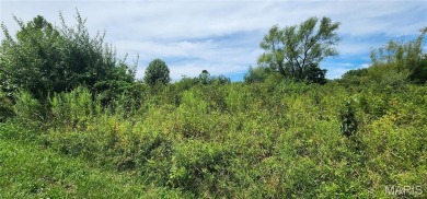 85 Maggie Lane is in Makanda Township in the Magnuson - photo 16