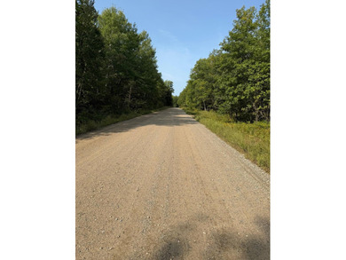 Here's 10 acres in the heart of lakes country. This property is - photo 6