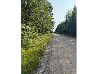 Here's 10 acres in the heart of lakes country. This property is - photo 7