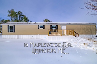 Lake Home For Sale in Limington, Maine