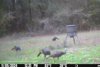 Poplar Springs Ranch is a highly improved 847+/- acre property - photo 9
