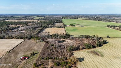 (private lake, pond, coastal) Acreage For Sale in Grand Ridge Florida