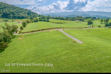 Lake Lot For Sale in Butler, Tennessee