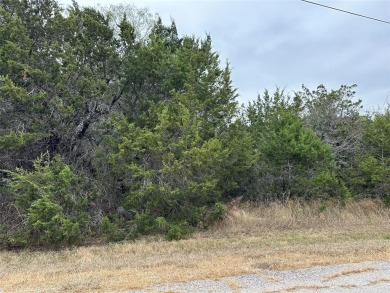 Lake Lot For Sale in Whitney, Texas