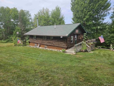 Lake Home For Sale in Amasa, Michigan
