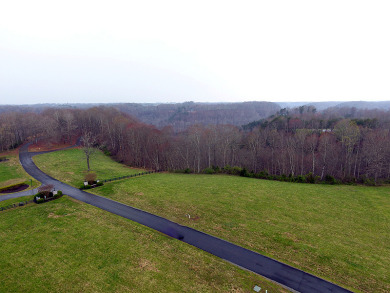 Level 1.3 Acre Building Lot in the Lake Cumberland Area - photo 3