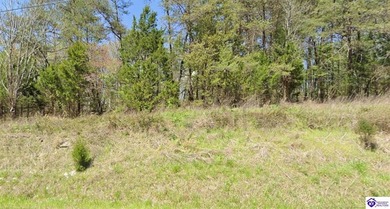 Nolin Lake Lot For Sale in Mammoth Cave Kentucky