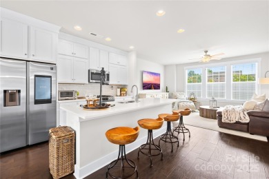 Lake Townhome/Townhouse For Sale in Davidson, North Carolina
