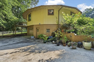 Welcome to one of Forsyth's most distinctive homes! This - photo 4