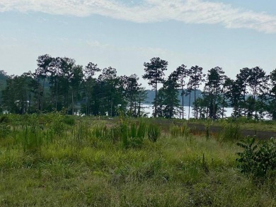 Toledo Bend Reservoir Lot For Sale in Florien Louisiana
