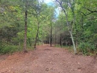 Lake Eureka Acreage For Sale in Eureka Springs Arkansas