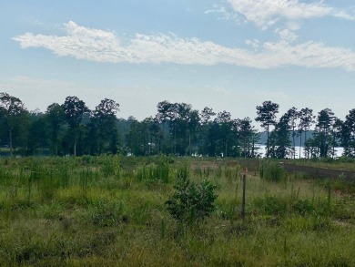 Toledo Bend Reservoir Lot For Sale in Florien Louisiana
