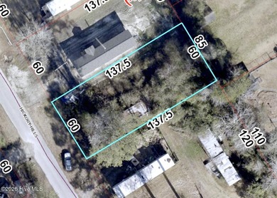 187 acre lot outside Carolina Pines with no city taxes - photo 2