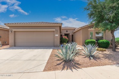 Lake Home For Sale in Maricopa, Arizona