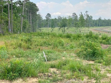 Toledo Bend Reservoir Lot For Sale in Florien Louisiana