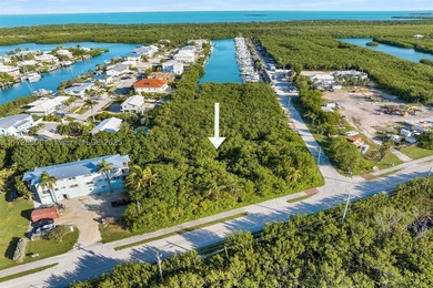 Rare opportunity to own an oversized half-acre (21,808 SF) dry - photo 11