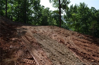 Lakeview Lot on Marina Lane - Perfect for Building or Camping! - photo 12