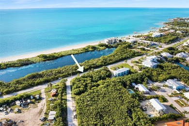 Rare opportunity to own an oversized half-acre (21,808 SF) dry - photo 12