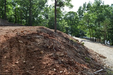 Lakeview Lot on Marina Lane - Perfect for Building or Camping! - photo 13