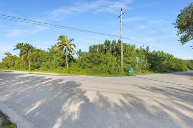 Rare opportunity to own an oversized half-acre (21,808 SF) dry - photo 15