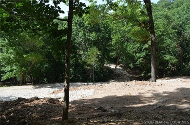 Lakeview Lot on Marina Lane - Perfect for Building or Camping! - photo 17