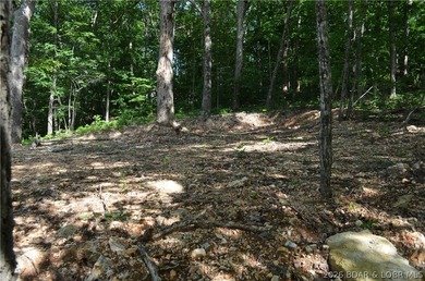 Lakeview Lot on Marina Lane - Perfect for Building or Camping! - photo 18