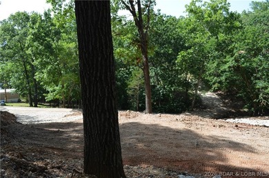 Lakeview Lot on Marina Lane - Perfect for Building or Camping! - photo 20