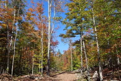 (private lake, pond, coastal) Acreage For Sale in Johnsburg New York