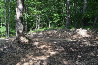 Lakeview Lot on Marina Lane - Perfect for Building or Camping! - photo 22