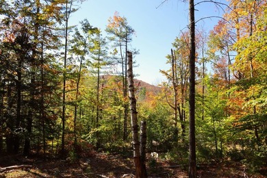 The perfect place to build your Adirondack dream home or camp - photo 2