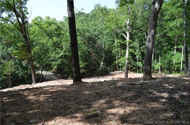 Lakeview Lot on Marina Lane - Perfect for Building or Camping! - photo 23