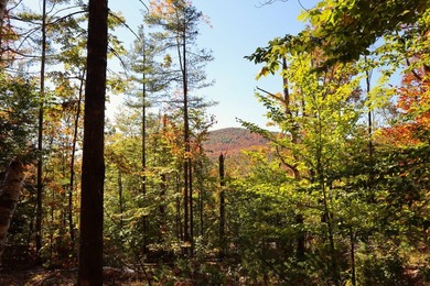 The perfect place to build your Adirondack dream home or camp - photo 3